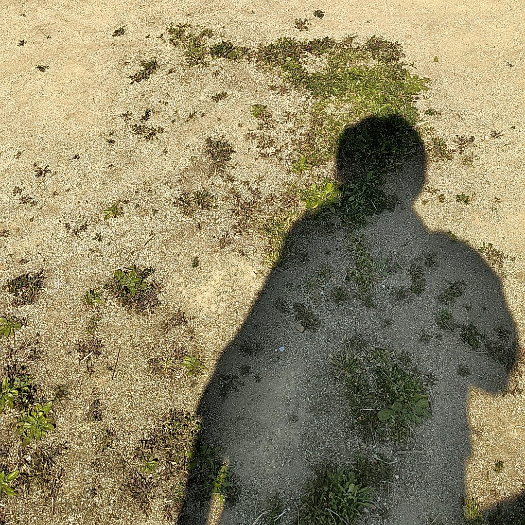 0から始めるブログ作り